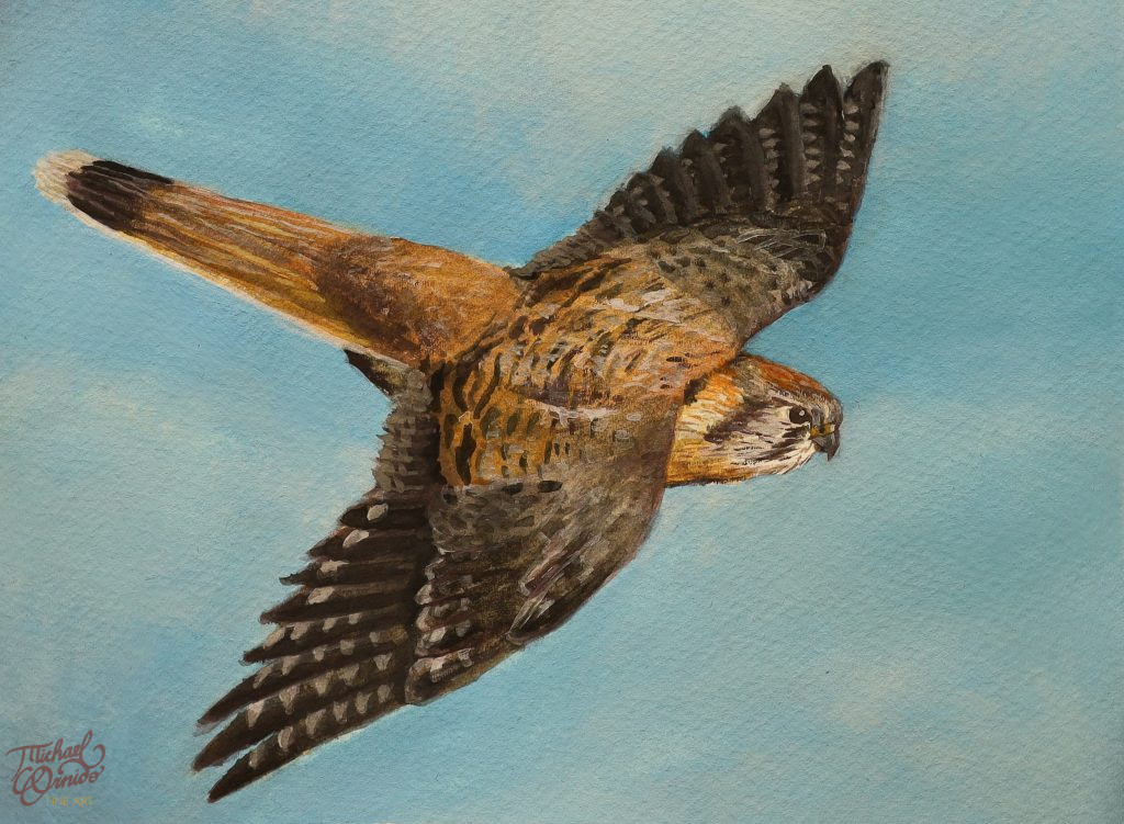 kestrel commission detail 1