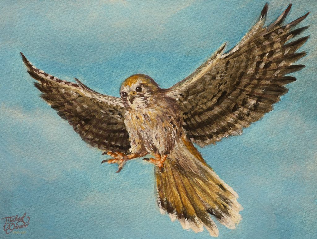 kestrel commission detail 3